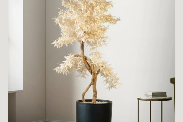 White-Birch-Planter